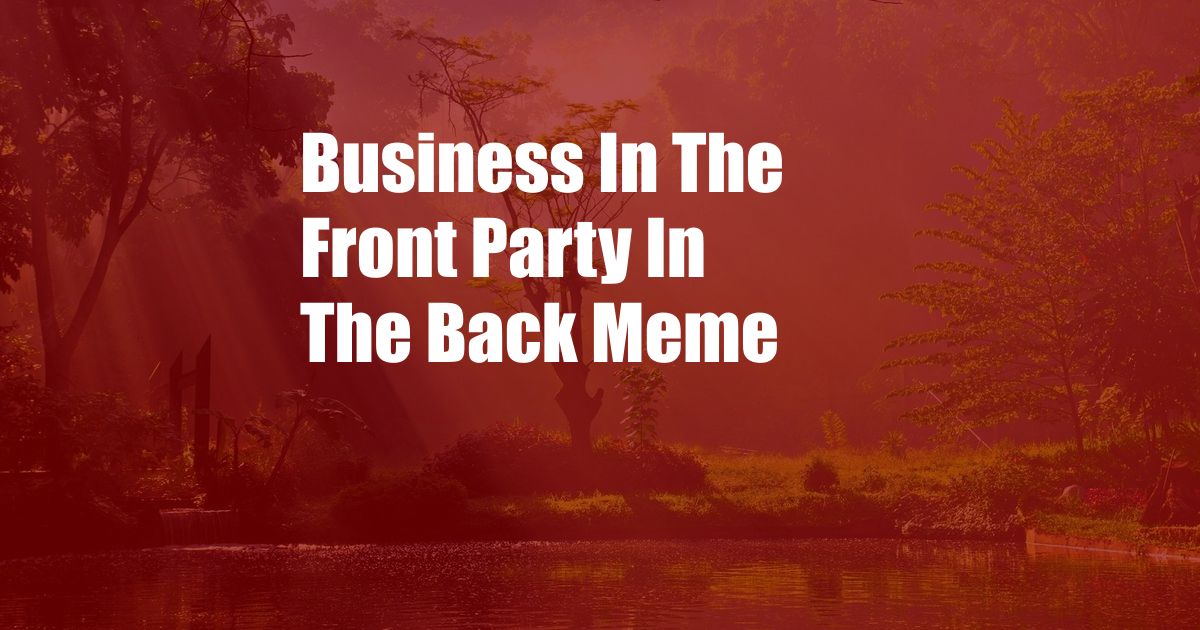 Business In The Front Party In The Back Meme