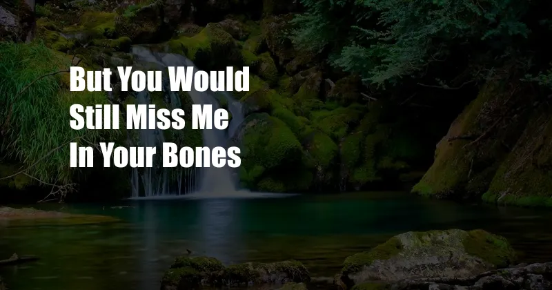 But You Would Still Miss Me In Your Bones