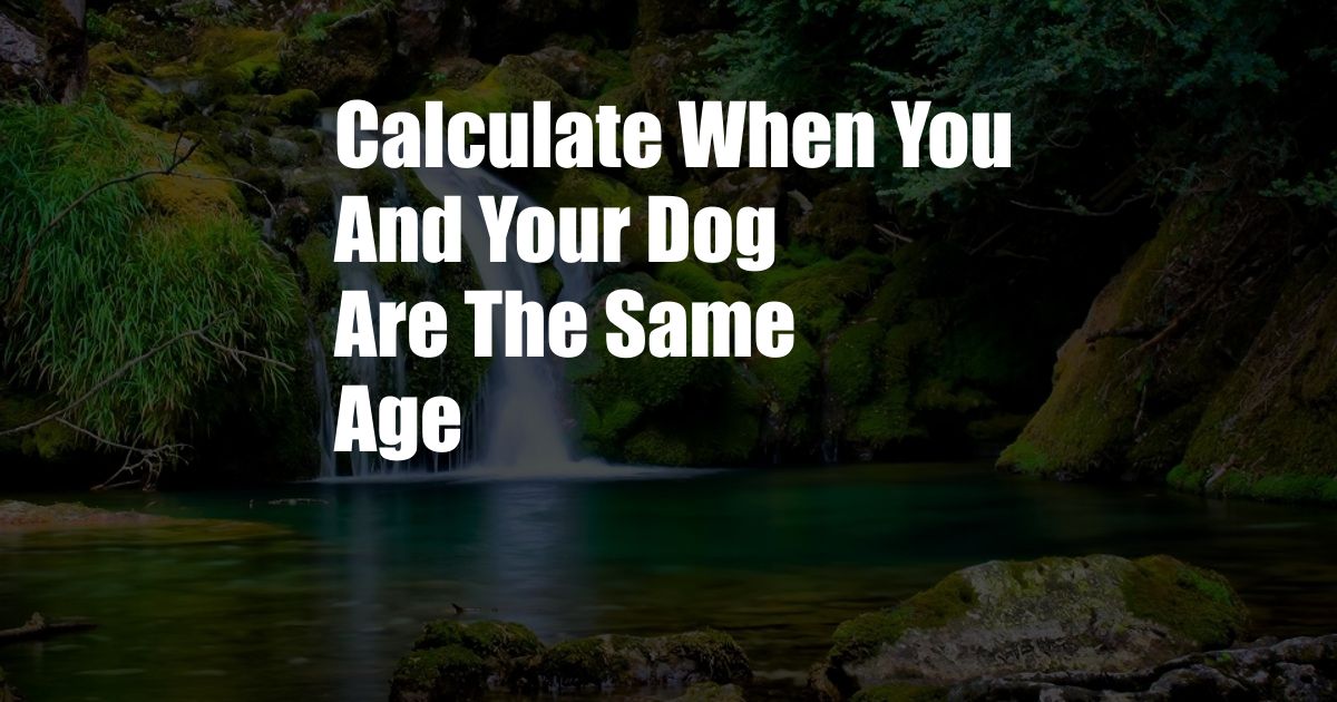 Calculate When You And Your Dog Are The Same Age