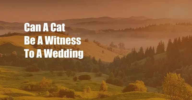 Can A Cat Be A Witness To A Wedding