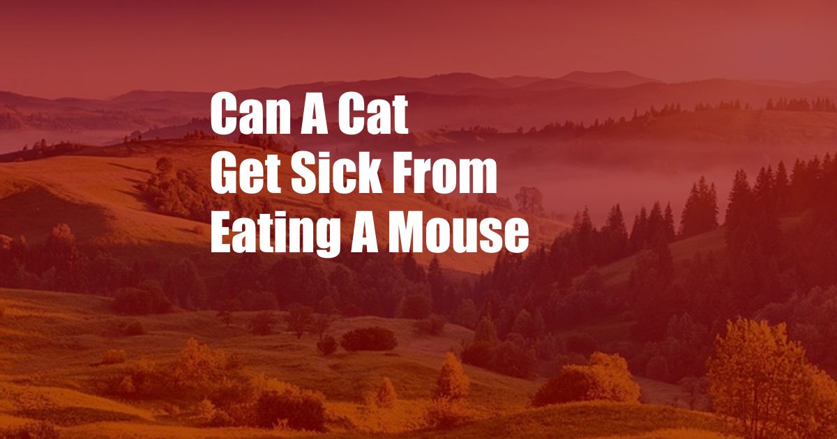 Can A Cat Get Sick From Eating A Mouse