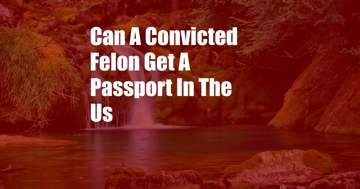 Can A Convicted Felon Get A Passport In The Us