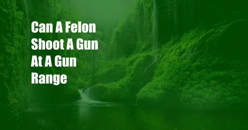 Can A Felon Shoot A Gun At A Gun Range