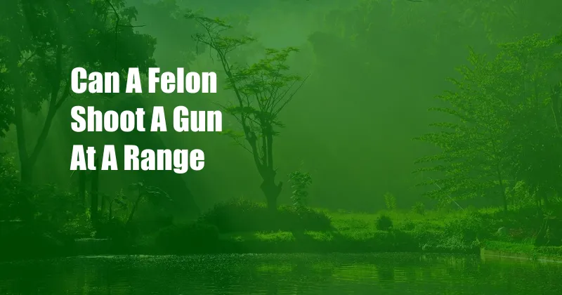 Can A Felon Shoot A Gun At A Range