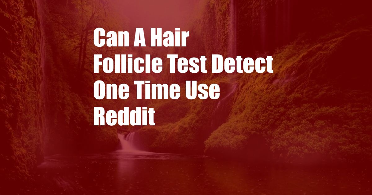 Can A Hair Follicle Test Detect One Time Use Reddit