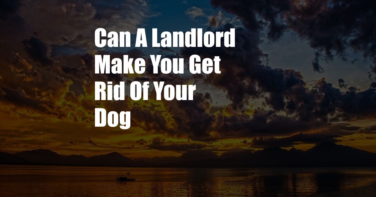 Can A Landlord Make You Get Rid Of Your Dog