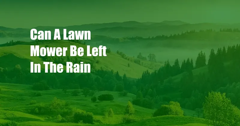Can A Lawn Mower Be Left In The Rain