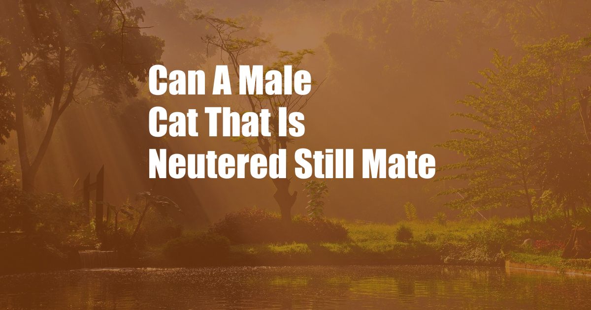 Can A Male Cat That Is Neutered Still Mate