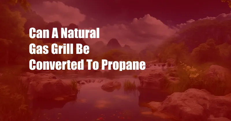 Can A Natural Gas Grill Be Converted To Propane