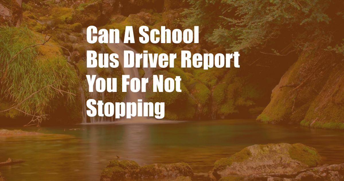 Can A School Bus Driver Report You For Not Stopping