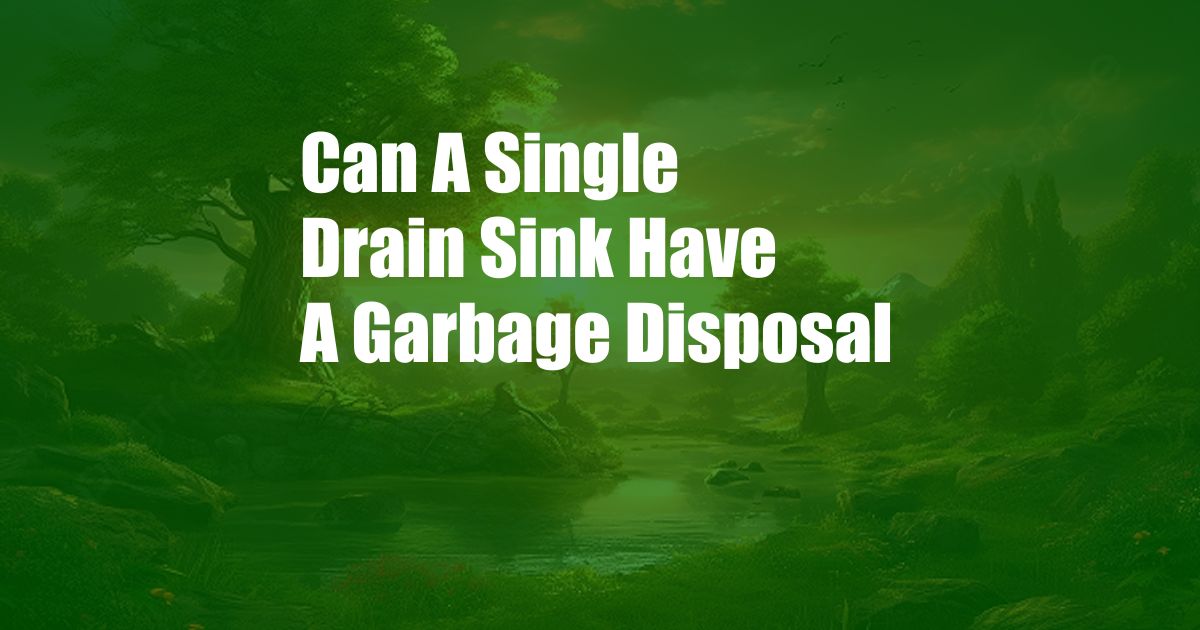 Can A Single Drain Sink Have A Garbage Disposal