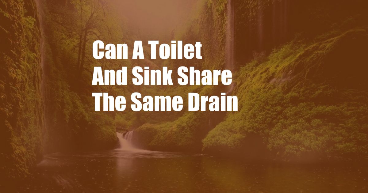 Can A Toilet And Sink Share The Same Drain