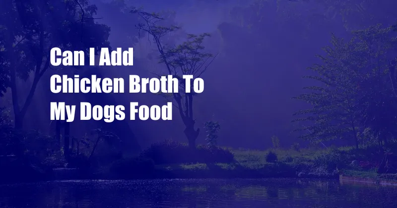 Can I Add Chicken Broth To My Dogs Food