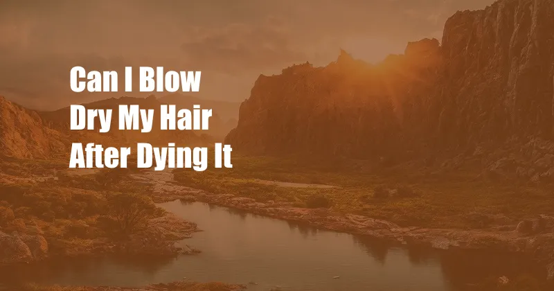 Can I Blow Dry My Hair After Dying It