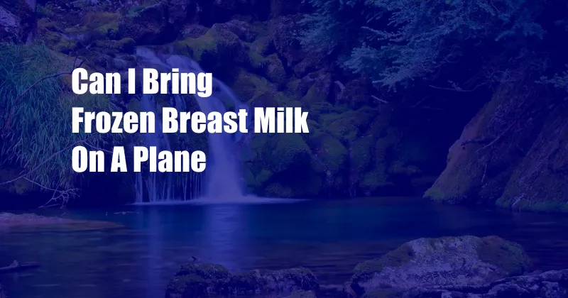 Can I Bring Frozen Breast Milk On A Plane