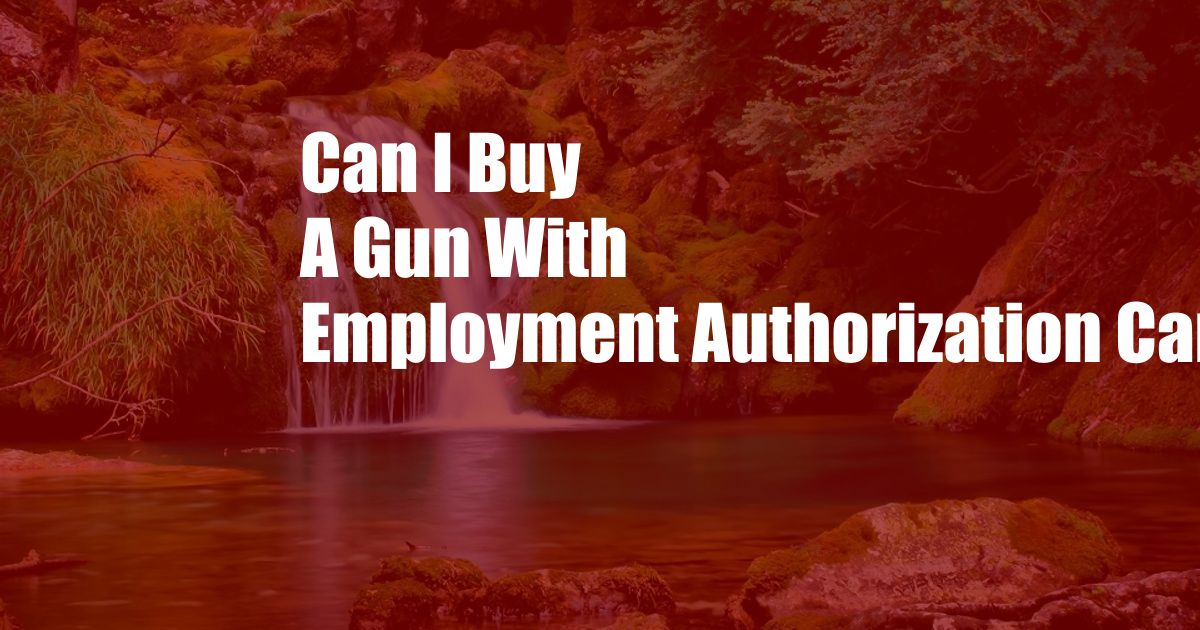 Can I Buy A Gun With Employment Authorization Card