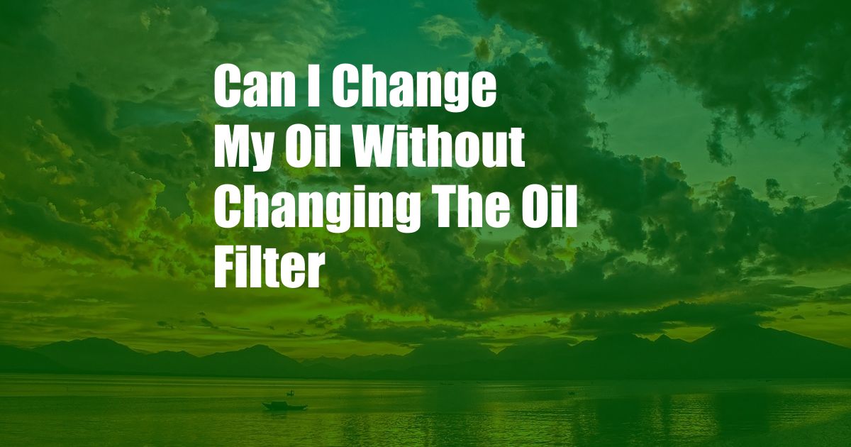 Can I Change My Oil Without Changing The Oil Filter