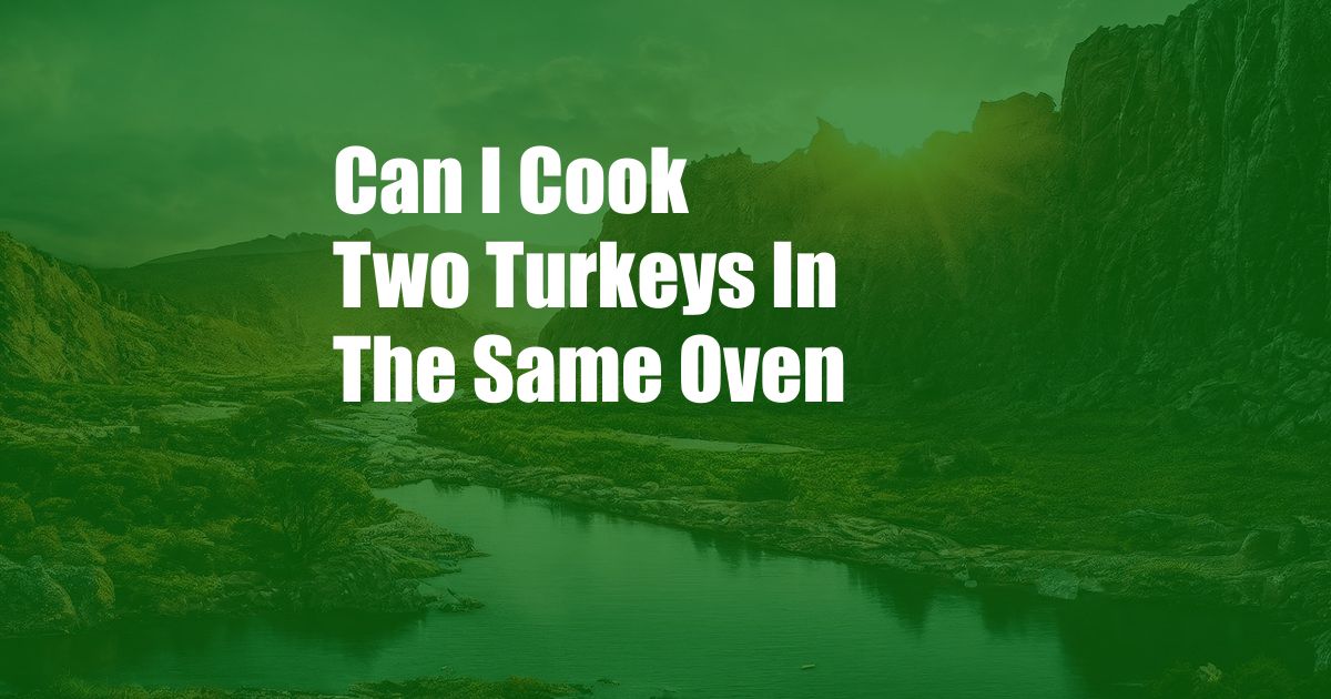 Can I Cook Two Turkeys In The Same Oven