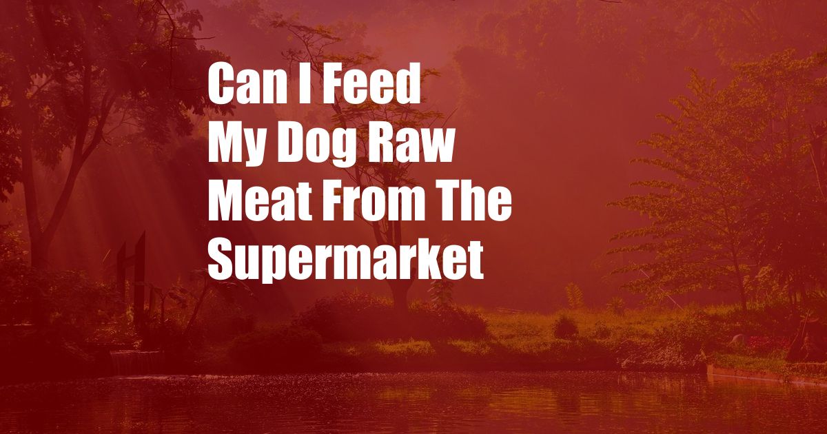 Can I Feed My Dog Raw Meat From The Supermarket