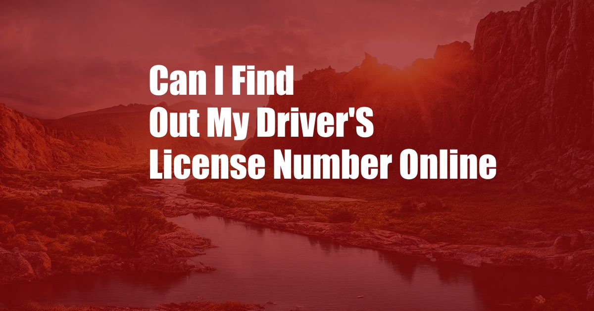 Can I Find Out My Driver'S License Number Online