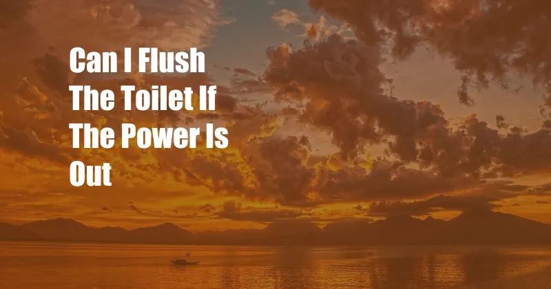 Can I Flush The Toilet If The Power Is Out