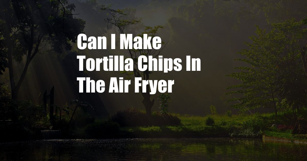 Can I Make Tortilla Chips In The Air Fryer