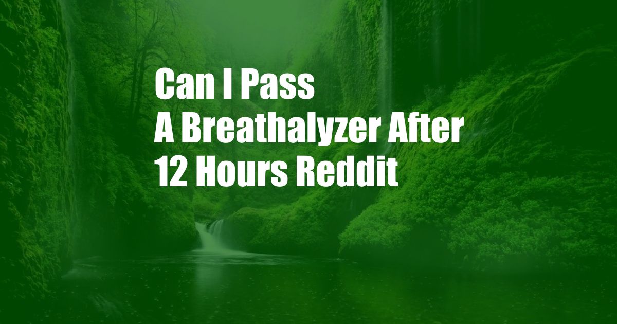 Can I Pass A Breathalyzer After 12 Hours Reddit