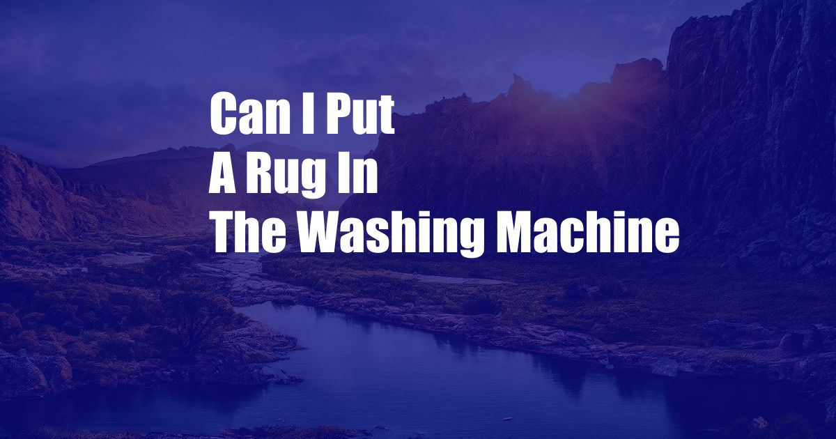 Can I Put A Rug In The Washing Machine