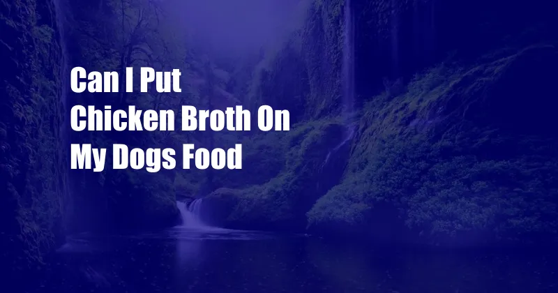 Can I Put Chicken Broth On My Dogs Food