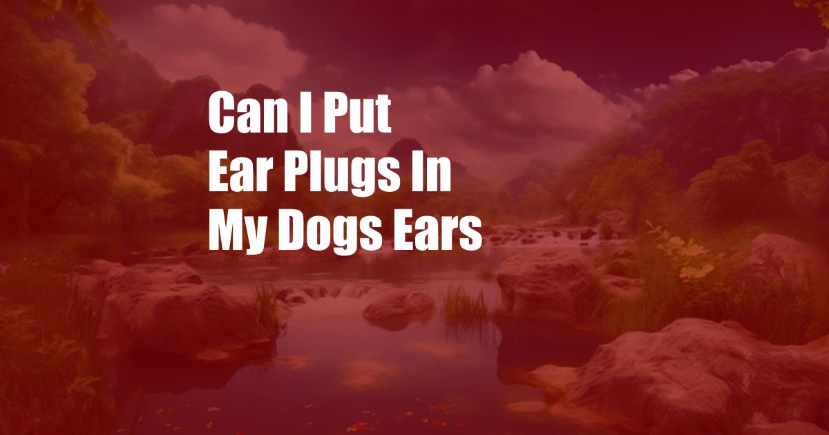 Can I Put Ear Plugs In My Dogs Ears