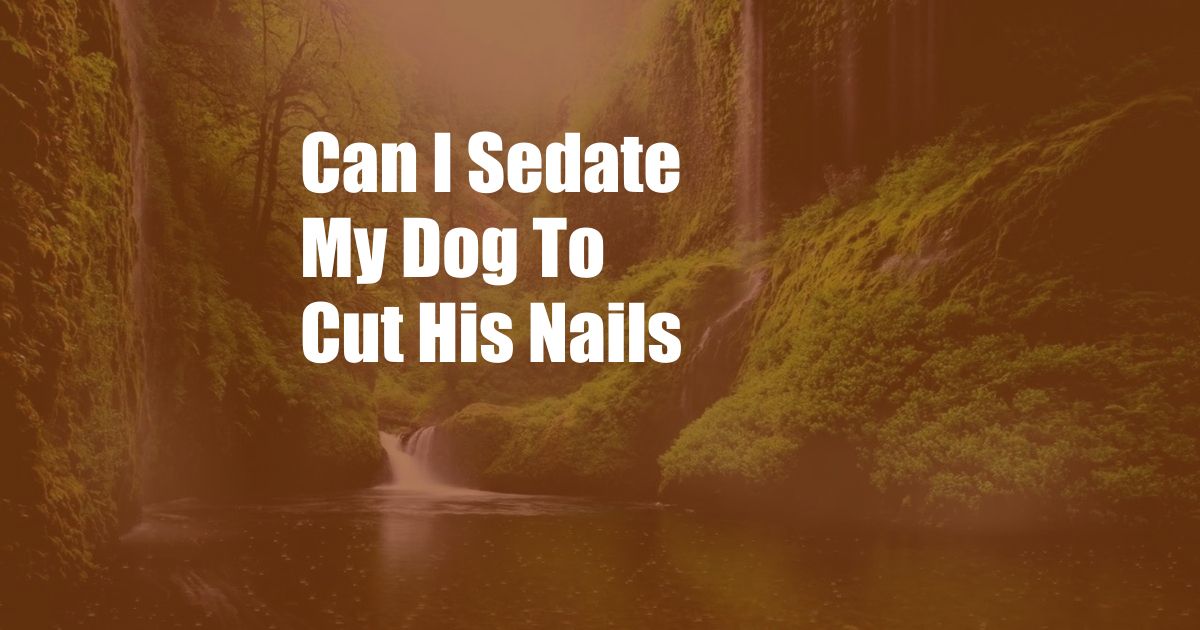 Can I Sedate My Dog To Cut His Nails