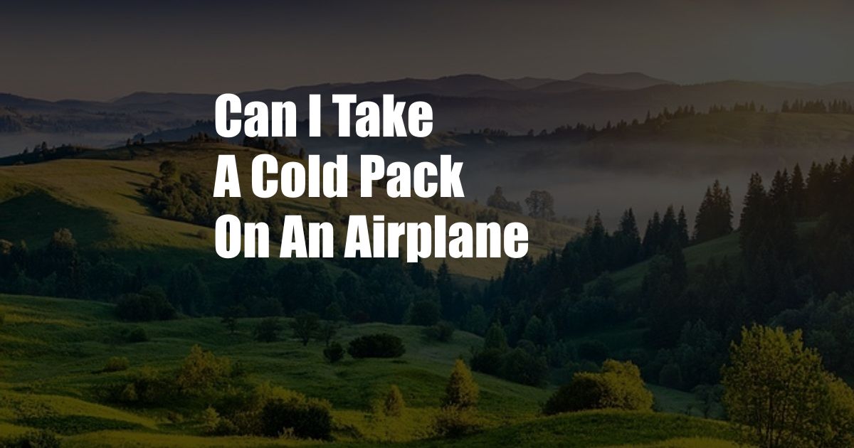 Can I Take A Cold Pack On An Airplane