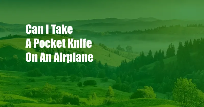 Can I Take A Pocket Knife On An Airplane