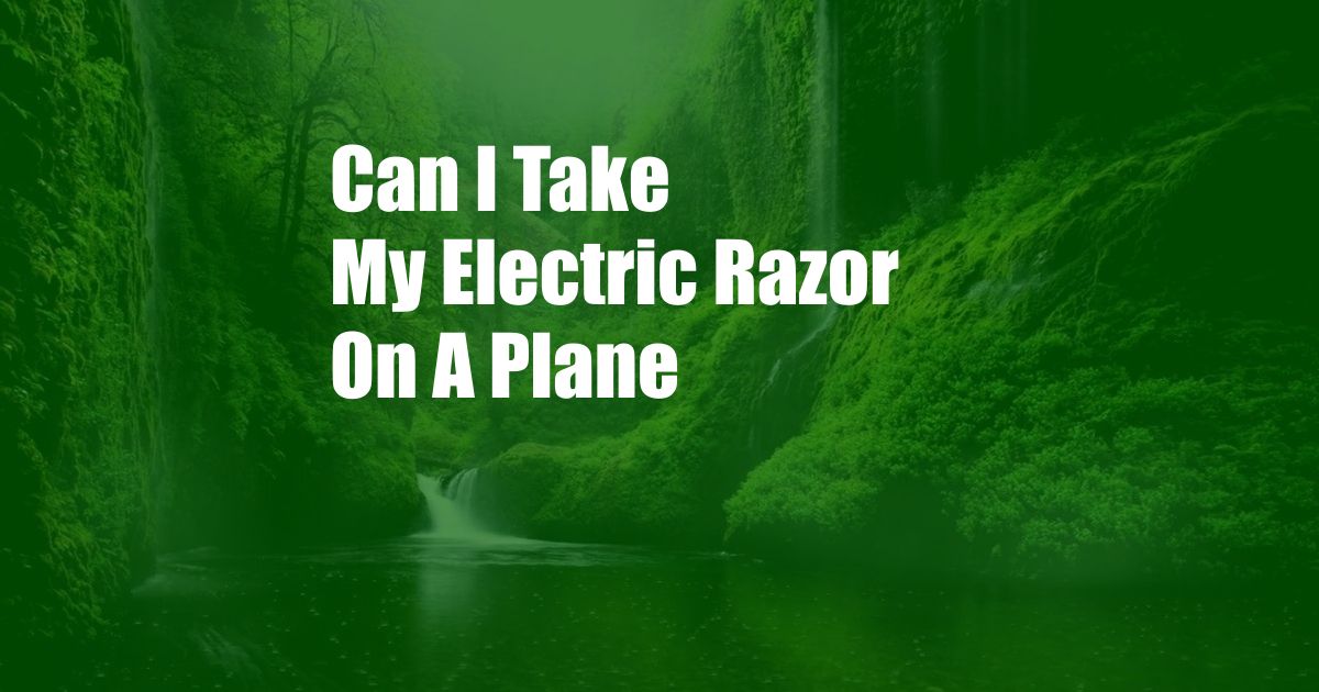 Can I Take My Electric Razor On A Plane