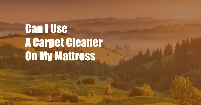 Can I Use A Carpet Cleaner On My Mattress