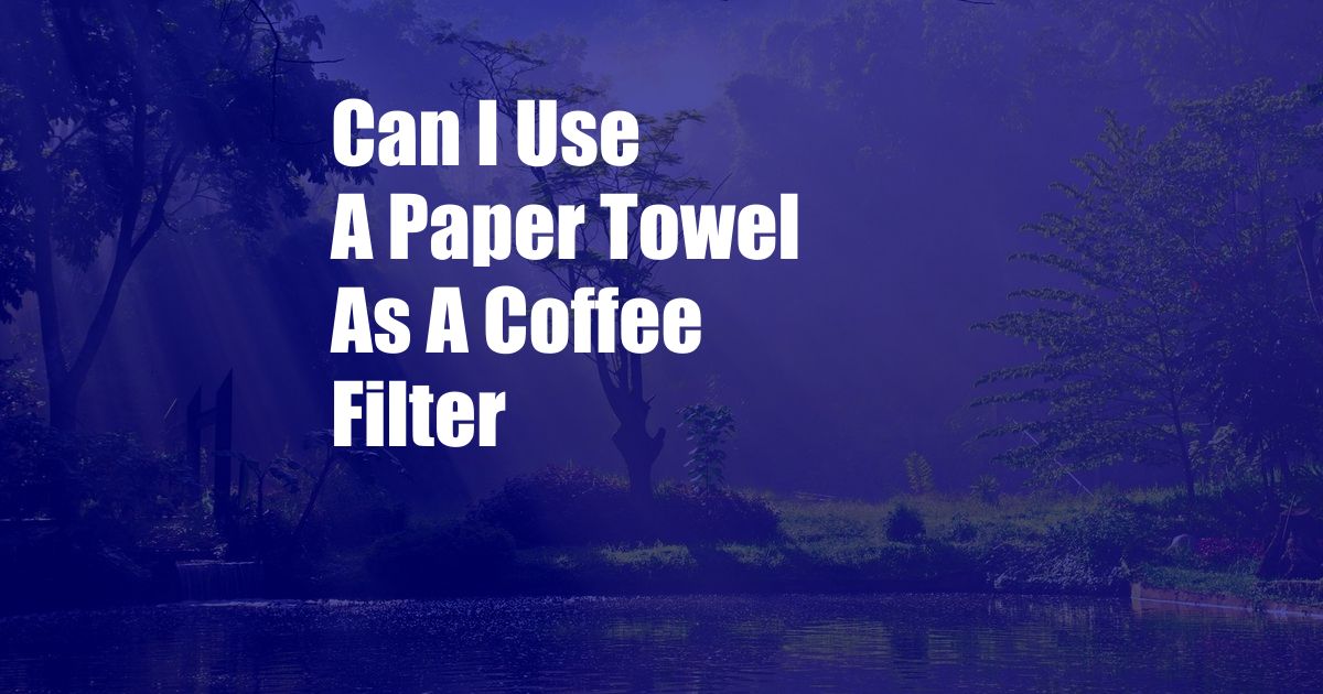 Can I Use A Paper Towel As A Coffee Filter