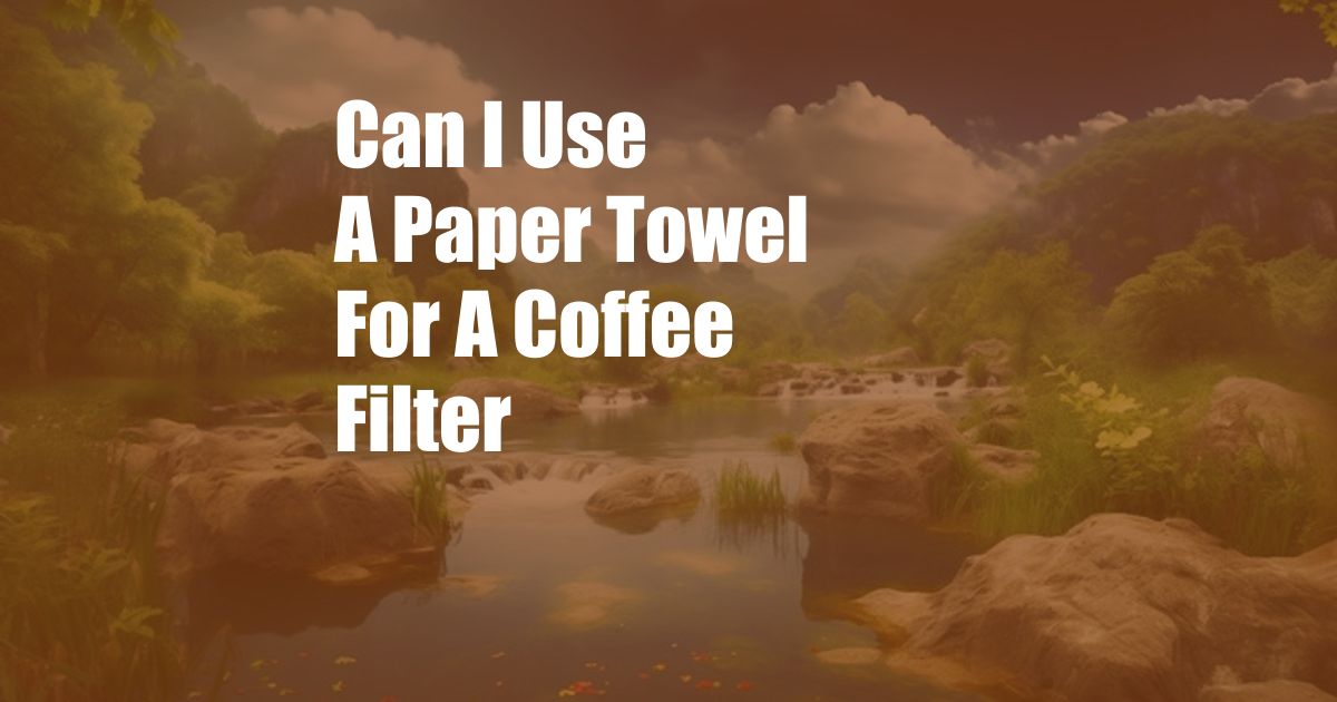 Can I Use A Paper Towel For A Coffee Filter