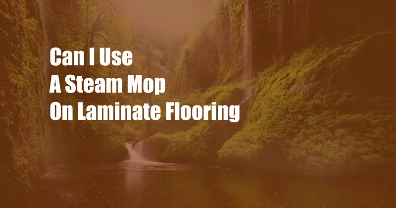 Can I Use A Steam Mop On Laminate Flooring