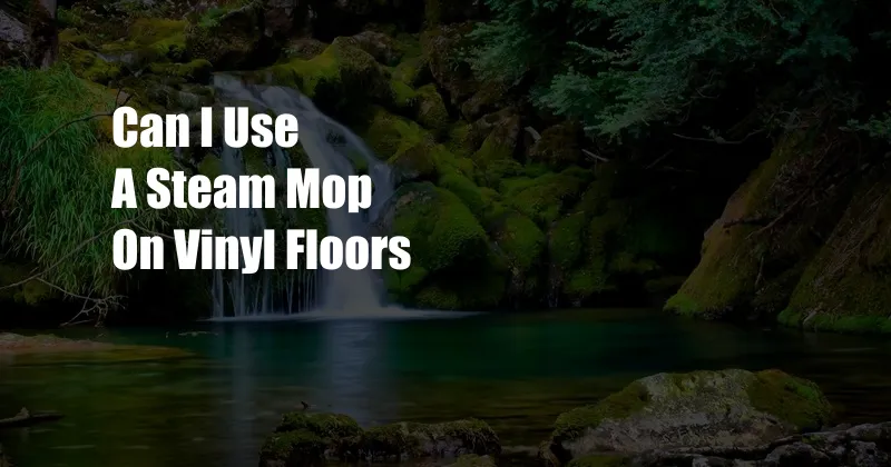 Can I Use A Steam Mop On Vinyl Floors