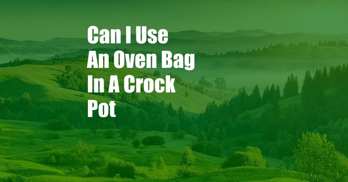 Can I Use An Oven Bag In A Crock Pot