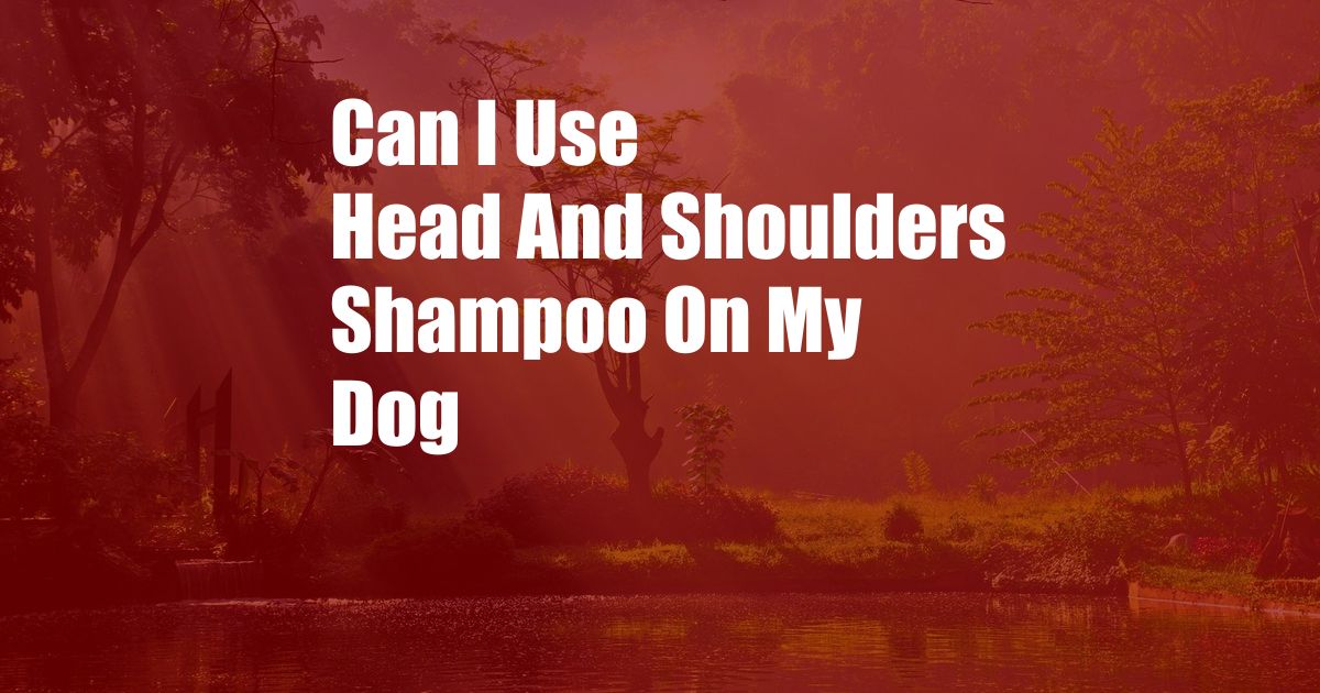 Can I Use Head And Shoulders Shampoo On My Dog