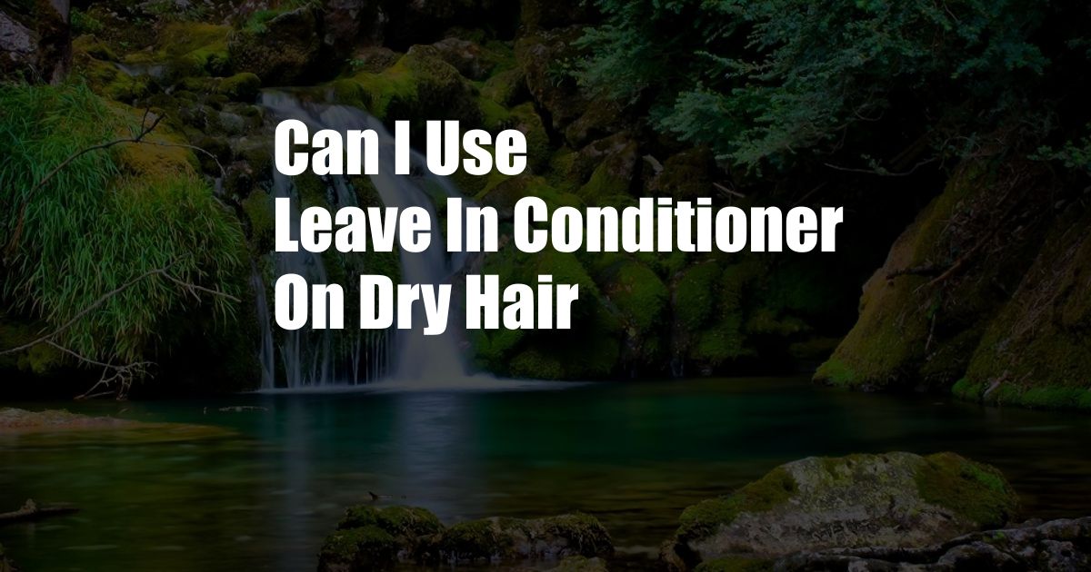 Can I Use Leave In Conditioner On Dry Hair