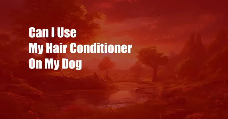 Can I Use My Hair Conditioner On My Dog