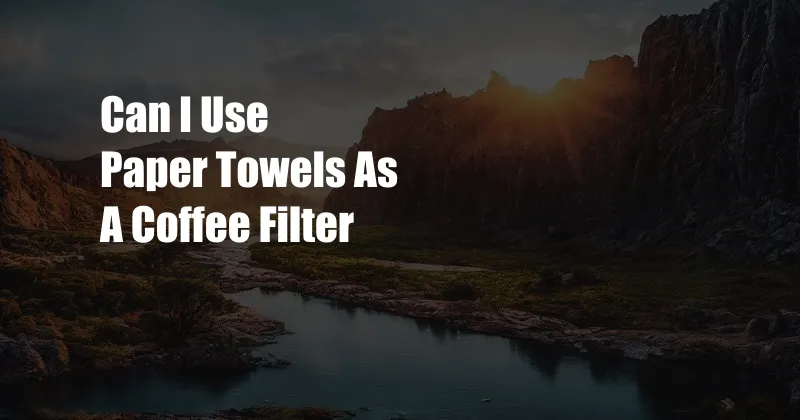 Can I Use Paper Towels As A Coffee Filter