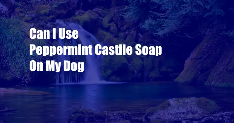 Can I Use Peppermint Castile Soap On My Dog