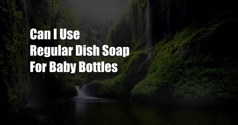 Can I Use Regular Dish Soap For Baby Bottles