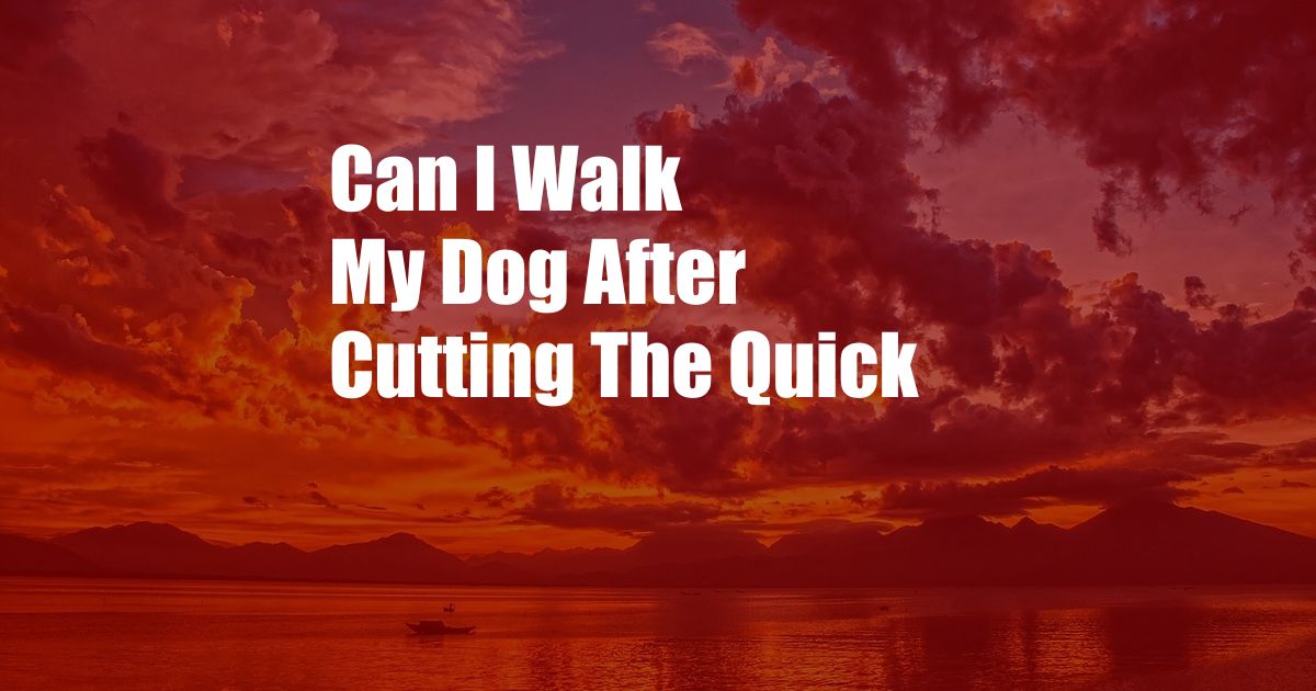 Can I Walk My Dog After Cutting The Quick