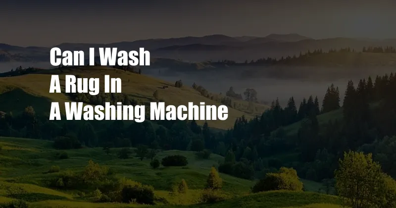 Can I Wash A Rug In A Washing Machine