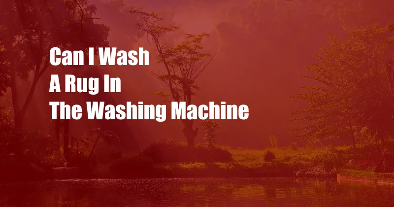 Can I Wash A Rug In The Washing Machine