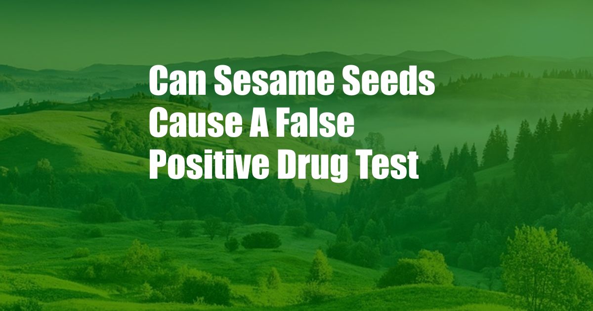 Can Sesame Seeds Cause A False Positive Drug Test